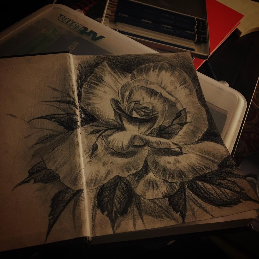 Flower, Rose
