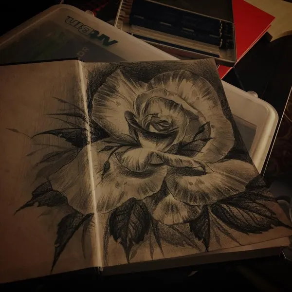 Flower, Rose