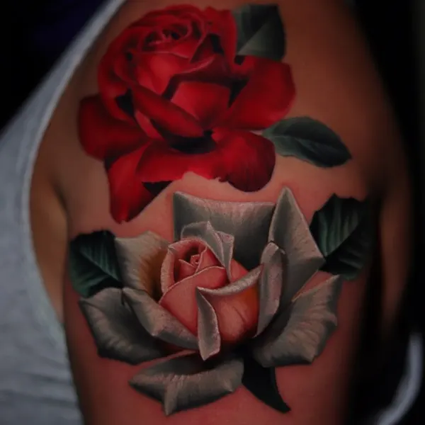 Flower, Rose, Nature