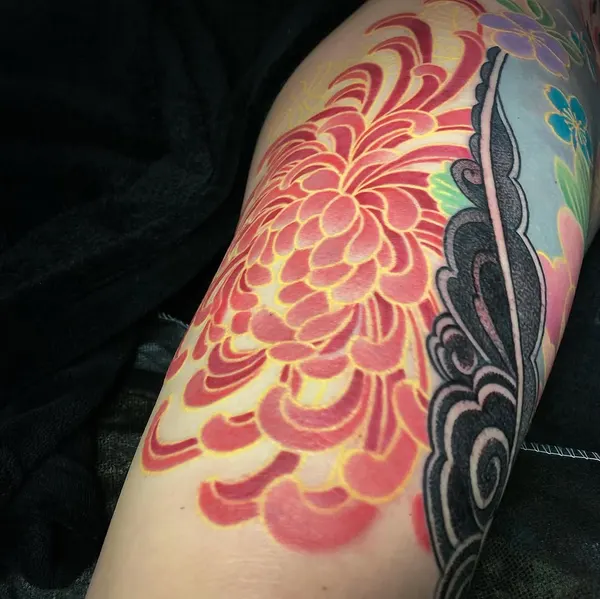 Flower, Rose