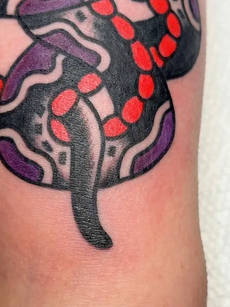Dragon, Snake