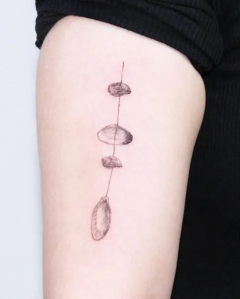 Mini, 조개, 오징어, 조개껍데기