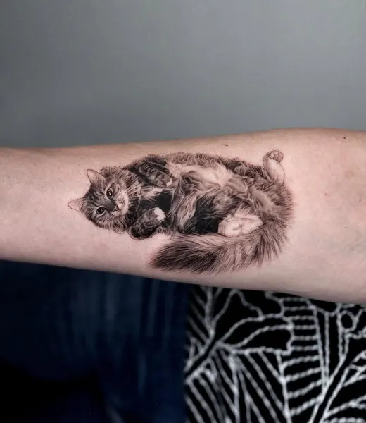 Animal