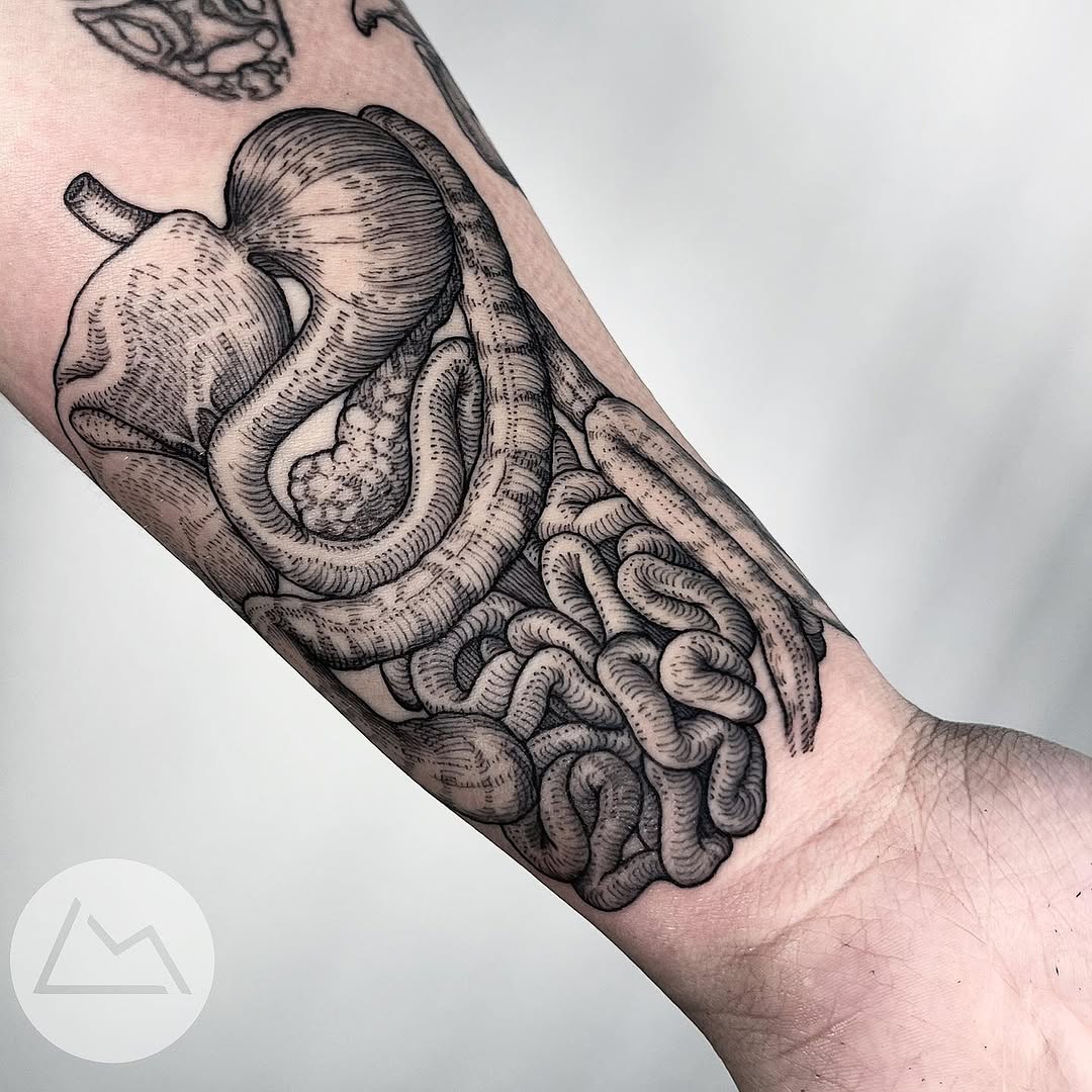 Dragon, Snake, 크라켄, 케르베로스