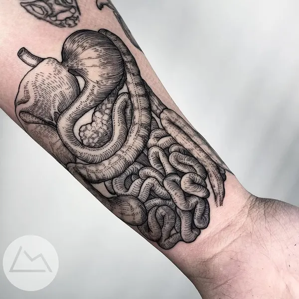 Dragon, Snake, 크라켄, 케르베로스