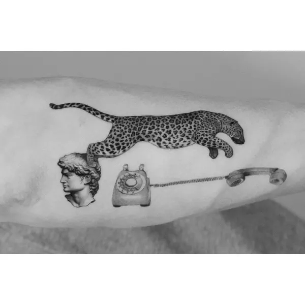 Tiger, Animal, 치타, 표범, 팬서