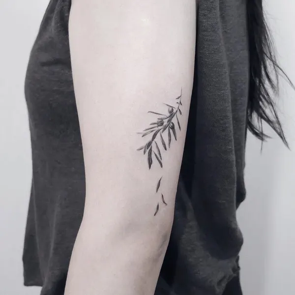바람, 잎, 풀, Flower, 고사리, 단풍잎, 대나무, 은행잎, 나뭇가지, 올리브 가지, 깃털, 민들레, 야자수, Nature