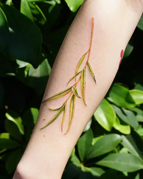 Flower, 단풍잎, 대나무, 잎, 풀