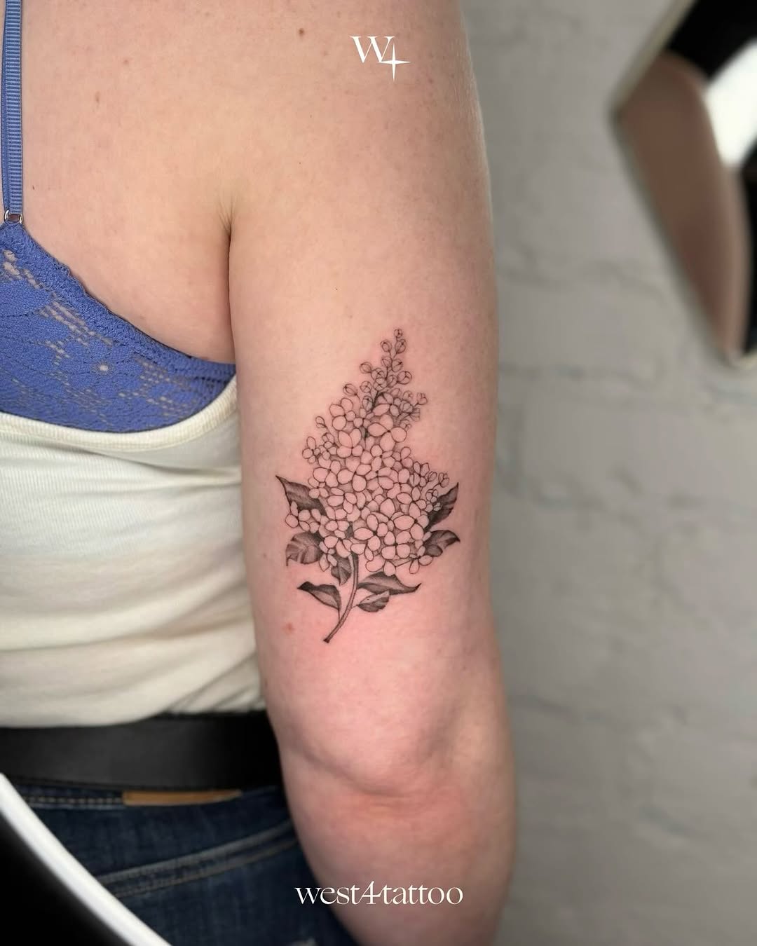 Flower, Rose, 산호, 수국, 잎, 국화, 덩굴, 장식, 허브, 단풍잎, 은행잎, 탄생화, 오너멘탈, 매화, 목련, 벚꽃, 포도, 고사리, 와인잔, 잉크병, 나뭇가지, 연꽃 문양