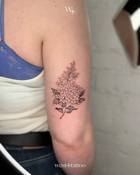 Flower, Rose, 산호, 수국, 잎, 국화, 덩굴, 장식, 허브, 단풍잎, 은행잎, 탄생화, 오너멘탈, 매화, 목련, 벚꽃, 포도, 고사리, 와인잔, 잉크병, 나뭇가지, 연꽃 문양