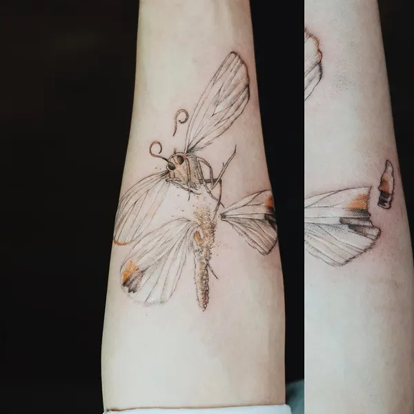 Animal, Nature, 잠자리