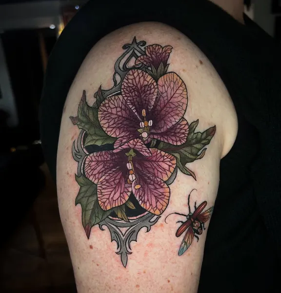 Flower, Rose, 히비스커스