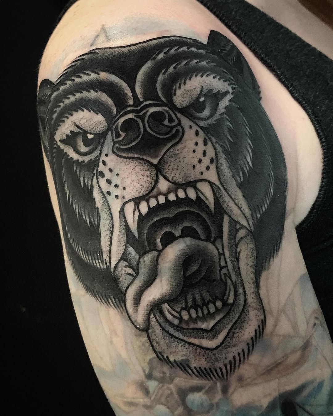 Tiger, Animal