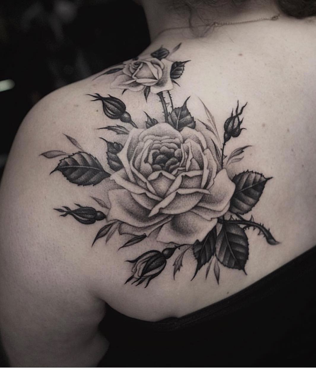 Rose, Flower, Nature