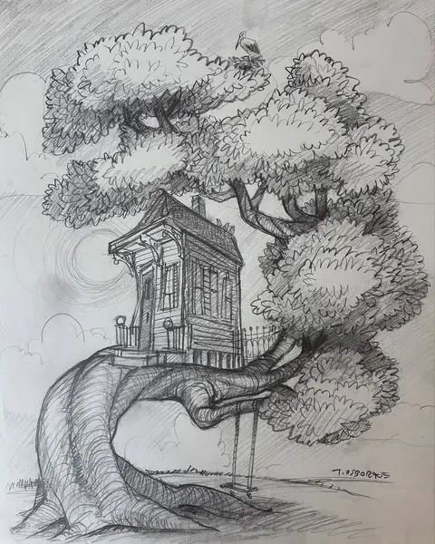 Nature, 버섯, 나무