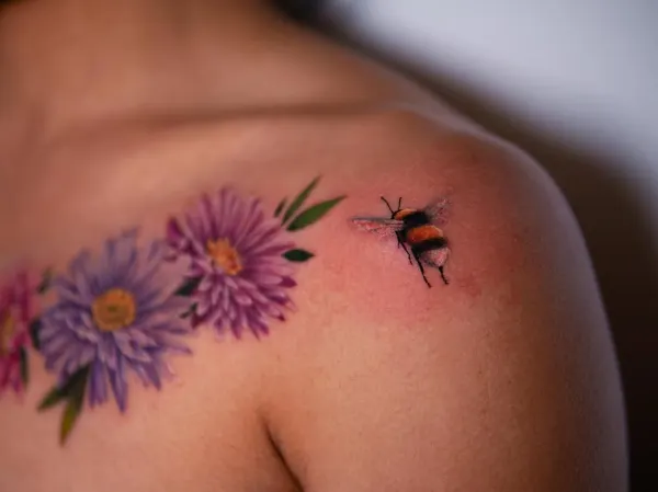 모란, Flower, 붓, 국화, 꽃다발, 데이지, 커버업, 탄생화, 보디수트, 오너멘탈, 꽃 배경, 난초