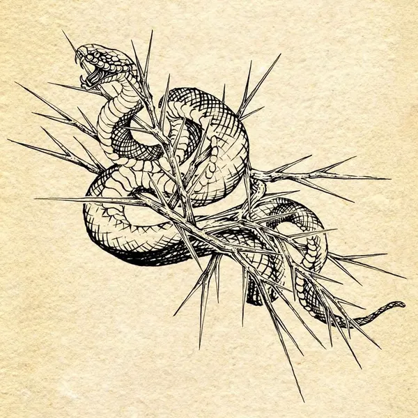 yoshi_tattooer