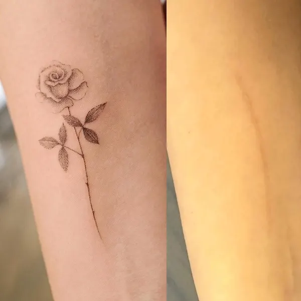 Flower, Rose