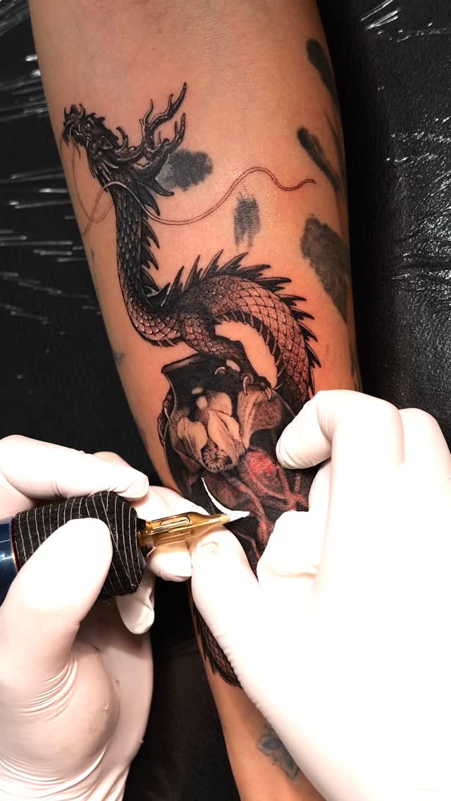 Dragon