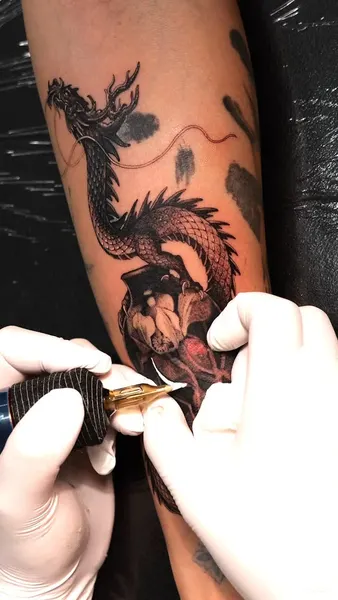 Dragon