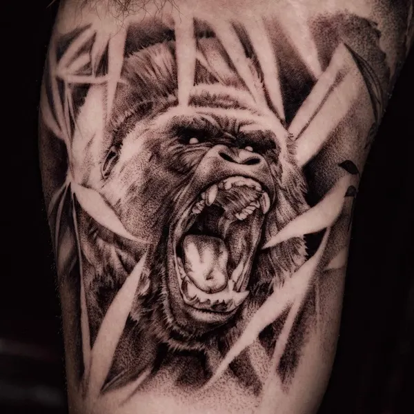 Tiger, Animal, 고릴라