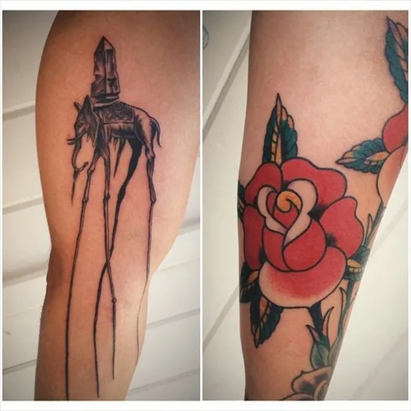 Flower, Rose