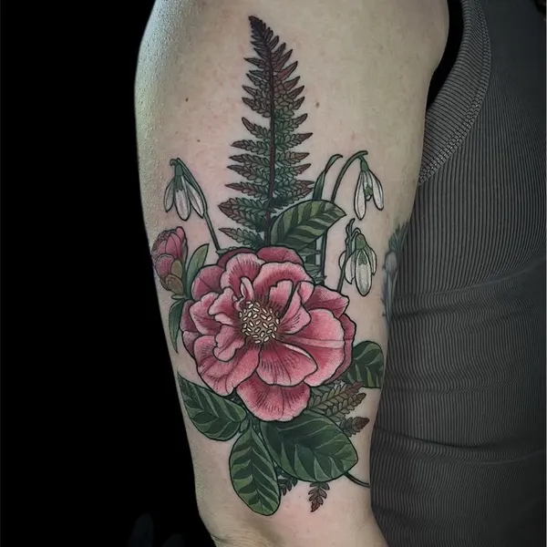 Flower, Rose, Nature