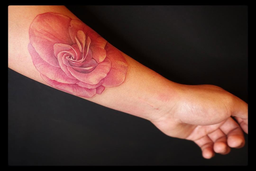 Flower, Rose