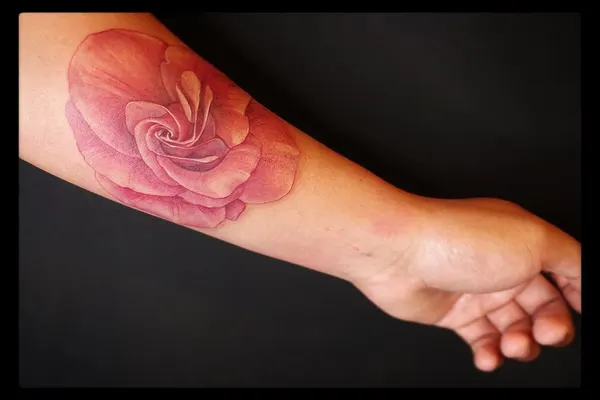 Flower, Rose
