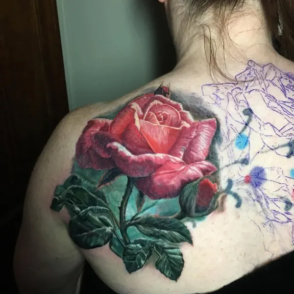 Rose, Nature, Flower, 커버업