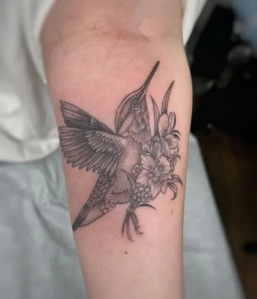 Animal