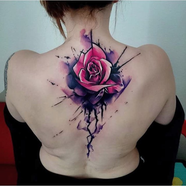 Flower, Nature, Rose