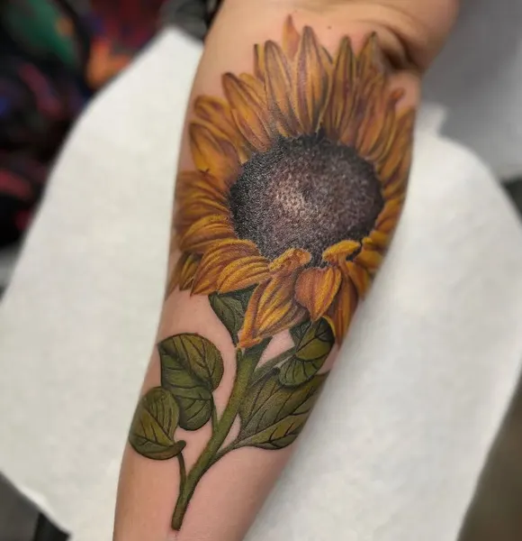 Flower, Rose, 튤립, 꽃다발