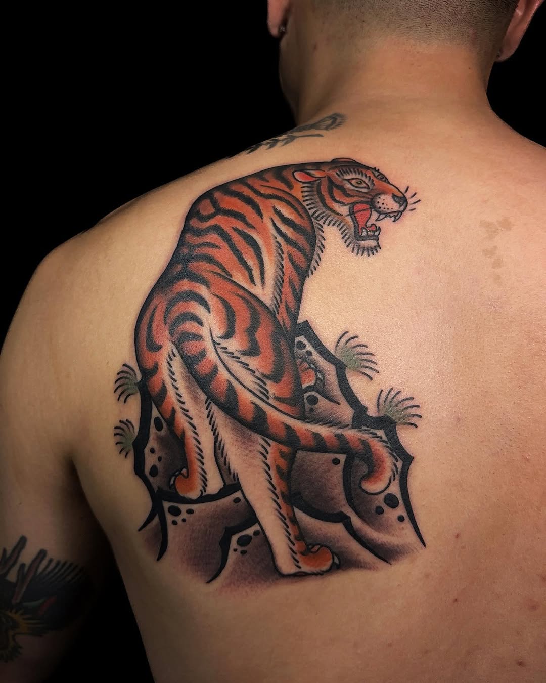 Tiger, 일본 호랑이, 중국 호랑이, 한국 호랑이