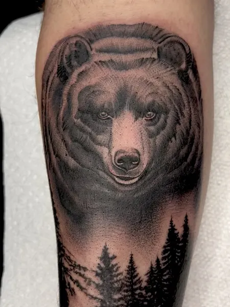 Animal, 곰