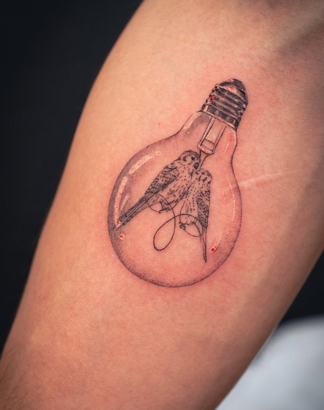 Lettering, 평화, 자전거
