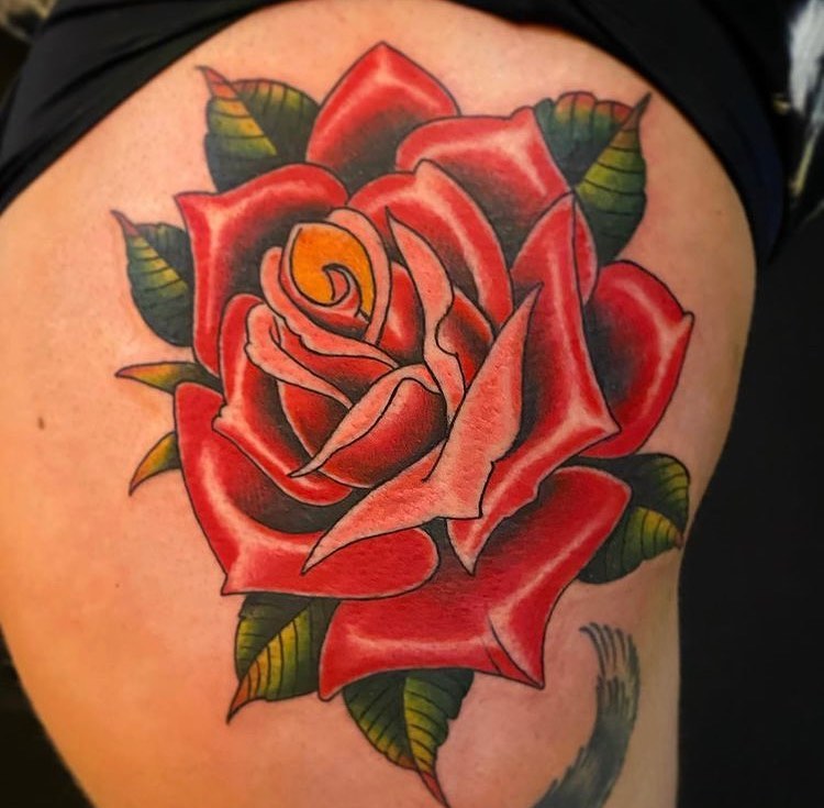 Flower, Rose, Nature