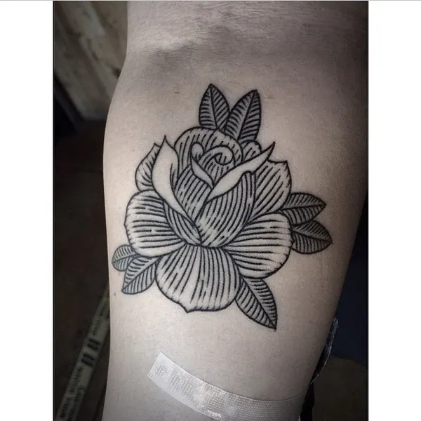 Flower, Rose