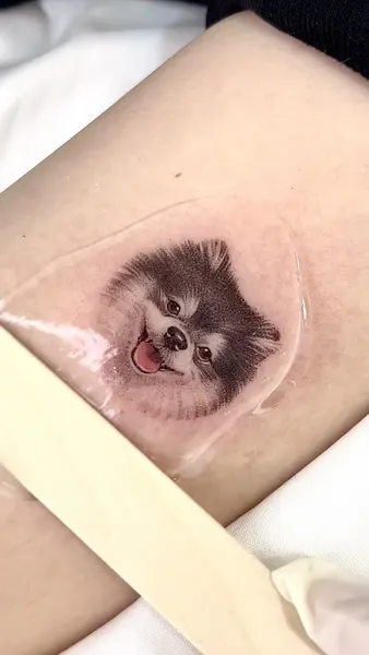 너구리, 고슴도치, 다람쥐