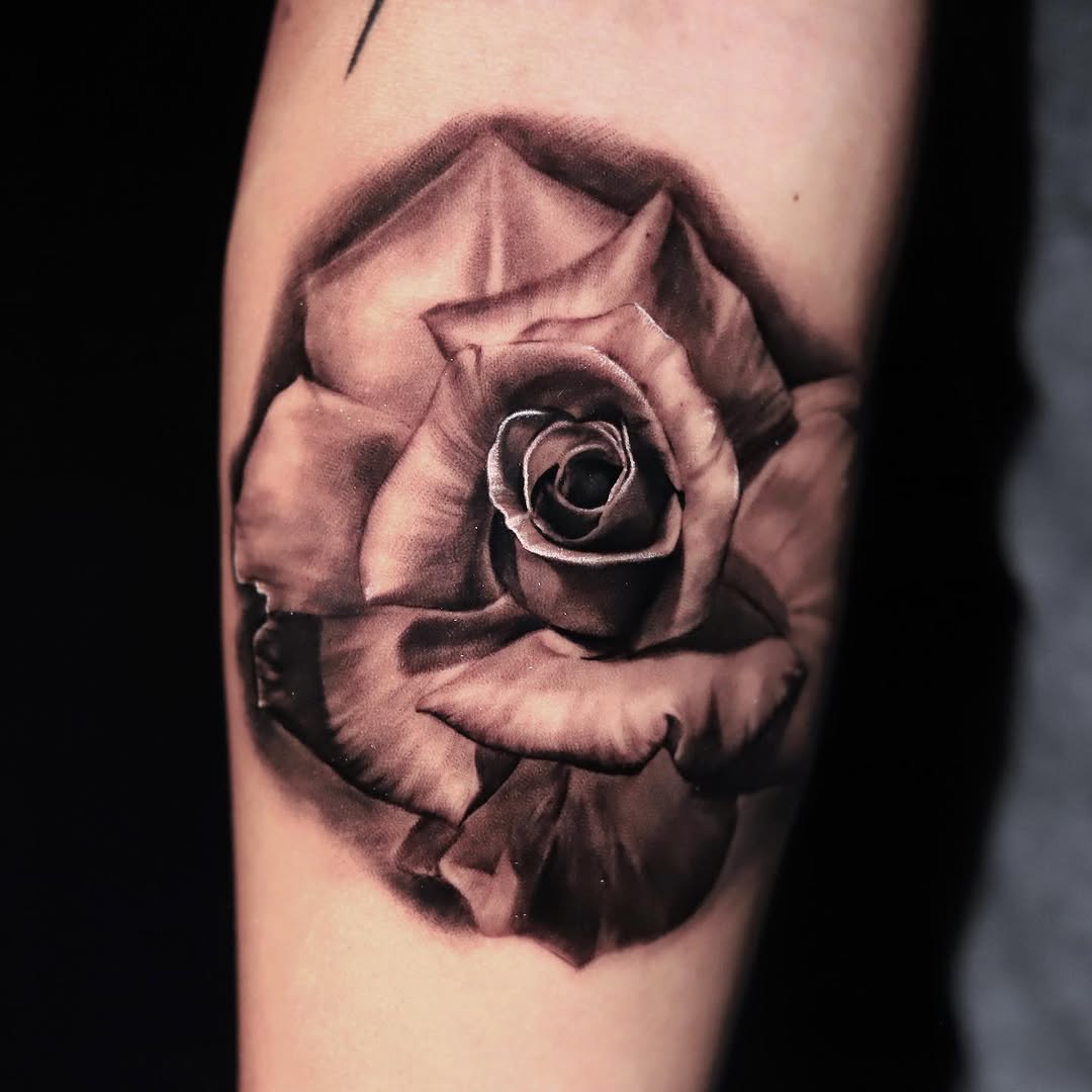 Flower, Rose