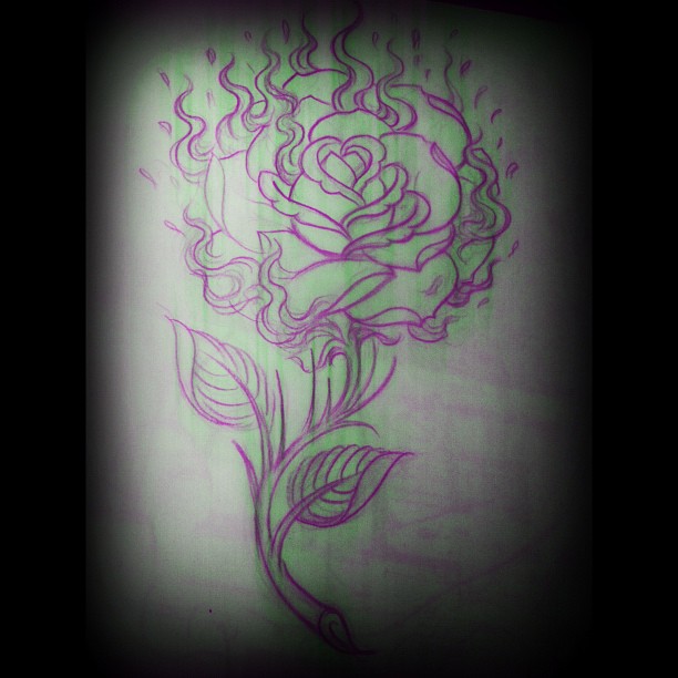 Flower, Rose