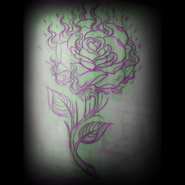 Flower, Rose