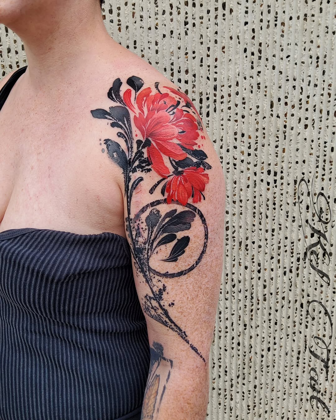 Flower, Rose, Nature