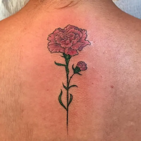 Flower, Rose, Nature