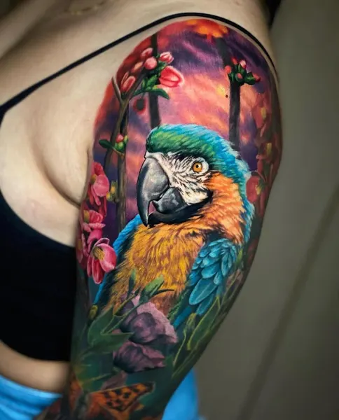 Animal, Nature, 앵무새