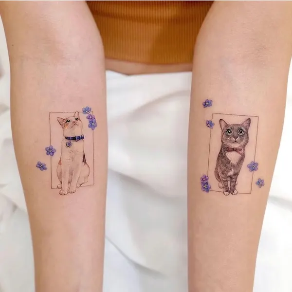 고양이