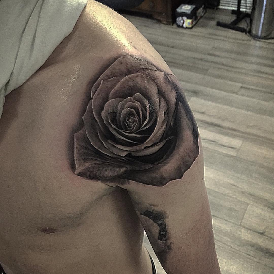 Flower, Rose