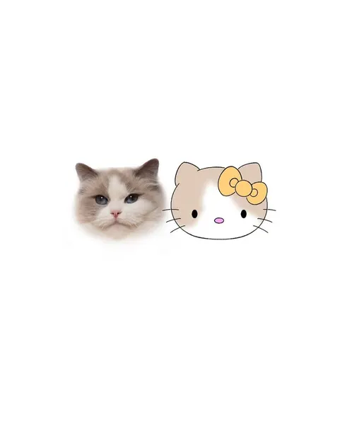 Mini, 마네키네코
