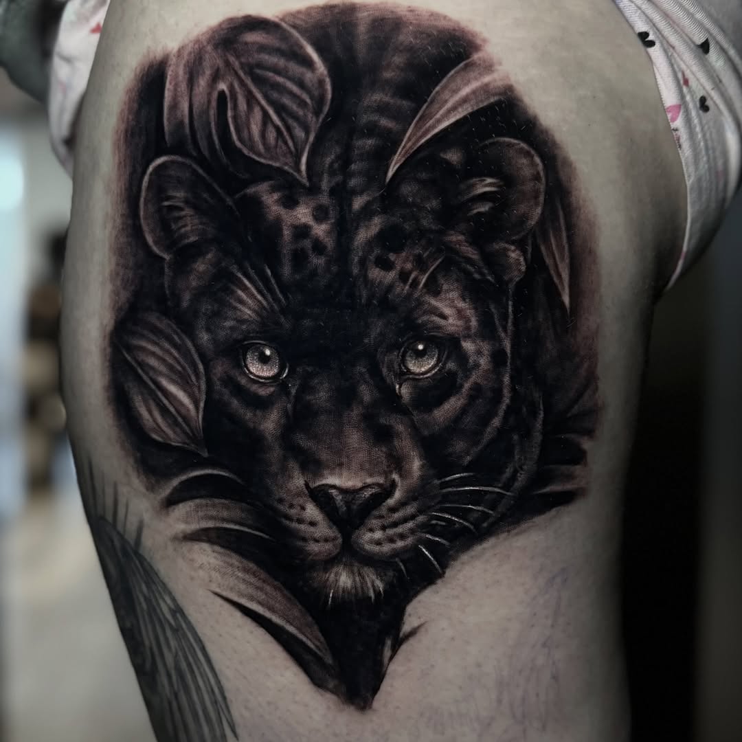 Animal, 팬서, 재규어, 표범