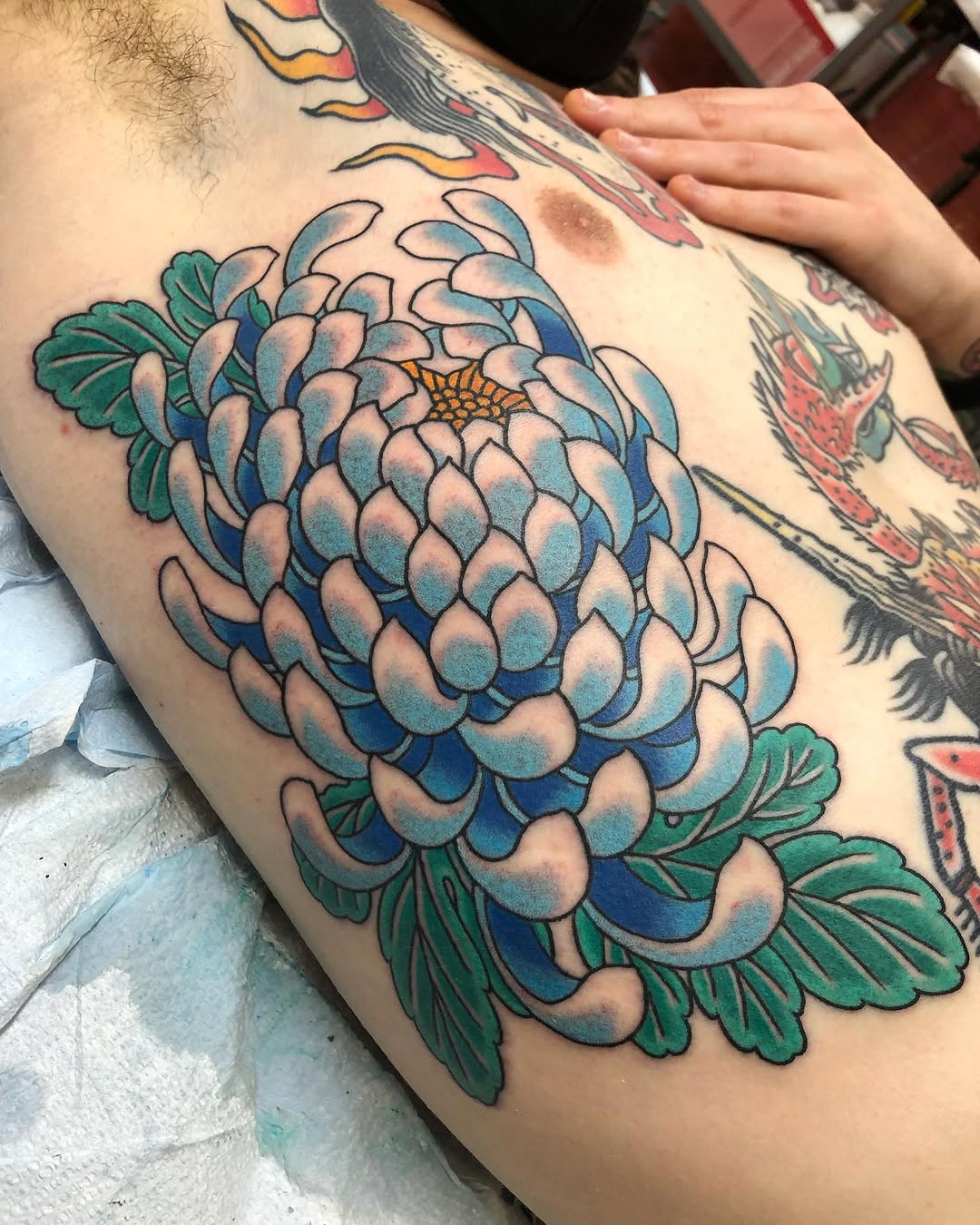 Flower, Rose